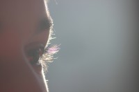 /album/regards/yan-jpg/