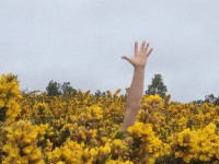 /album/theme-libre/bri-jpg7/